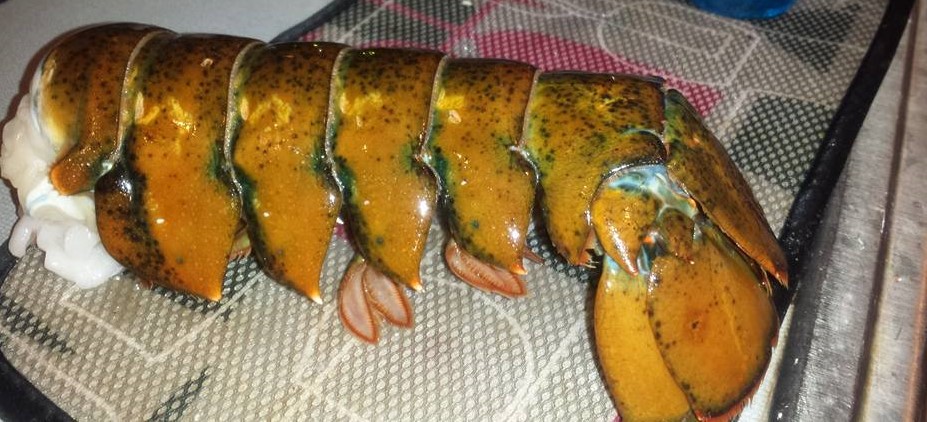 lobster tail (2)