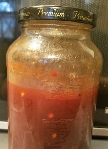 carolina vinegar sauce (2)