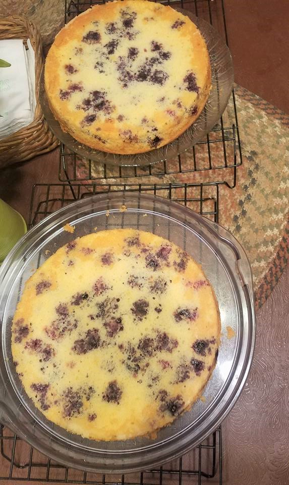 lemon blueberry in pans