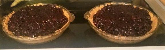 20180802_075457_resized (002)